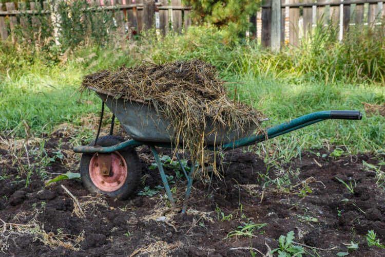 How to Compost Manure From Livestock